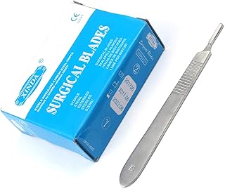 G.S 100 Scalpel Blades #24 with Free Handle