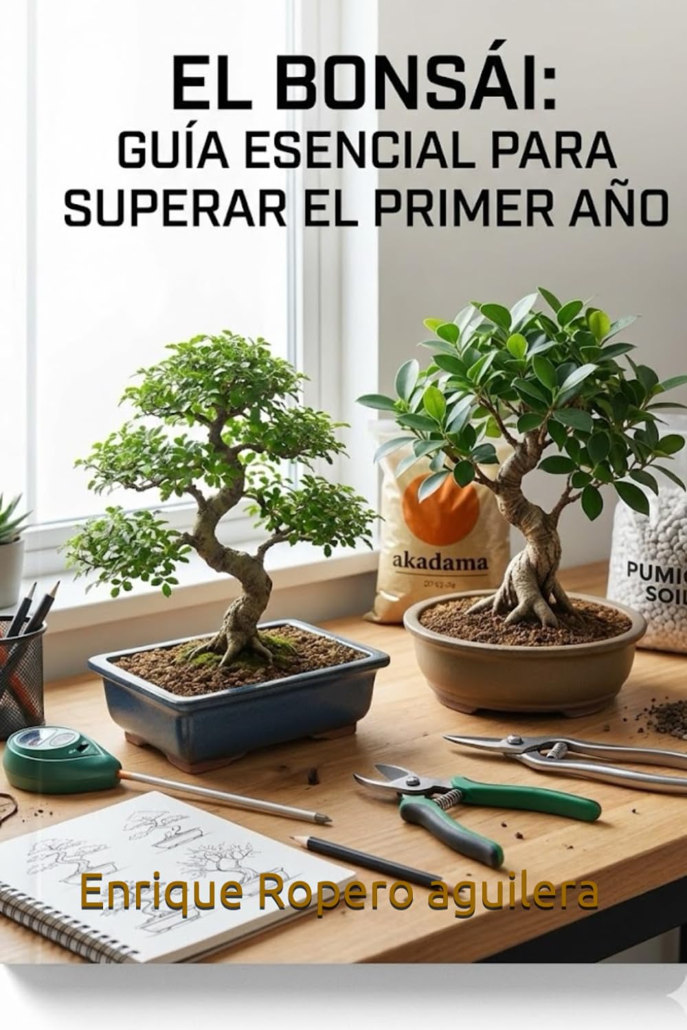 El bonsái: Guía esencial para superar el primer año