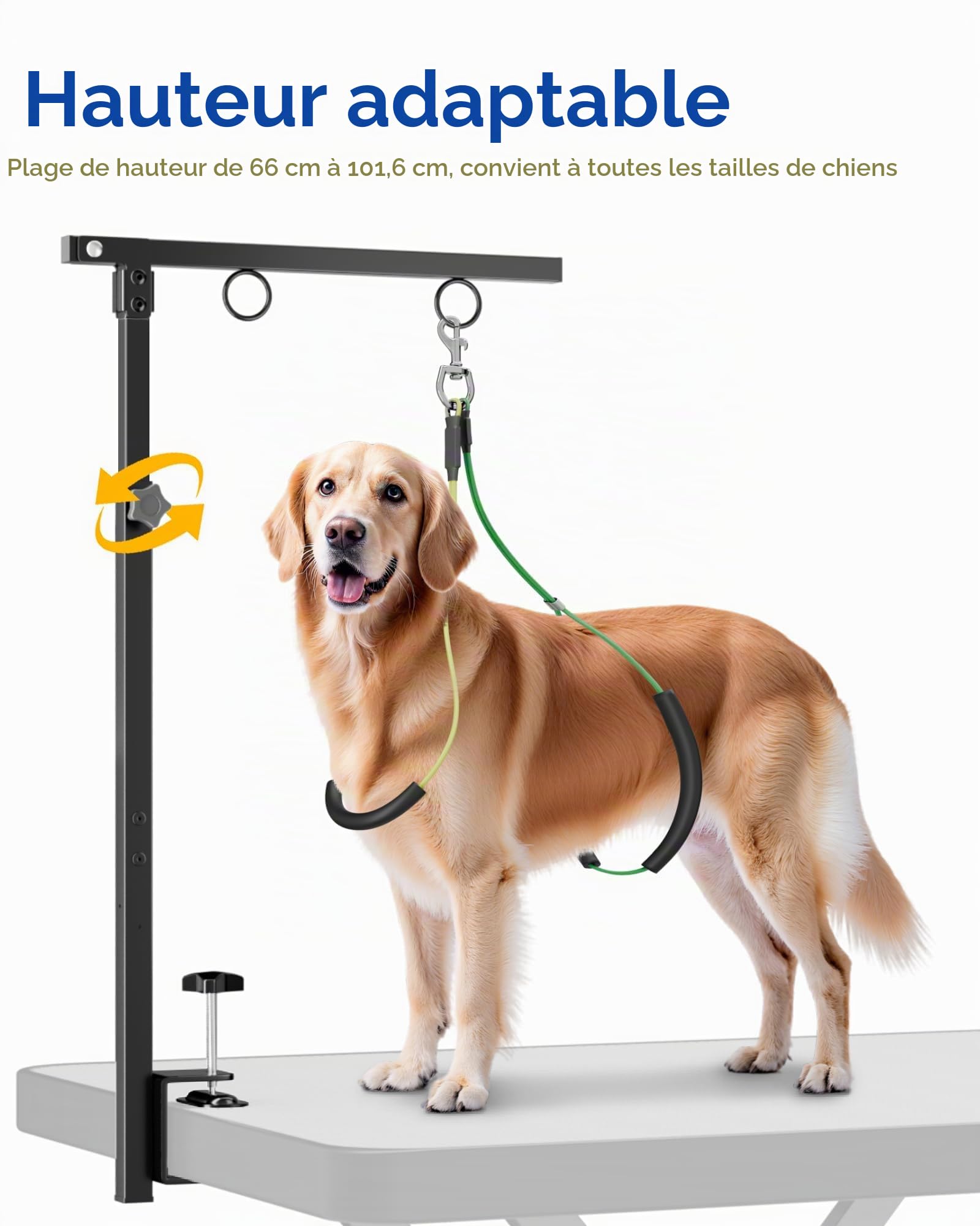 Potence de Toilettage pour Chiens, Hauteur Réglable 66-102 cm, Inclut Hamac de Soin et Sangle Anti-Assise, Bras de Toilettage Stable pour Bain, Tonte et Entretien du Pelage