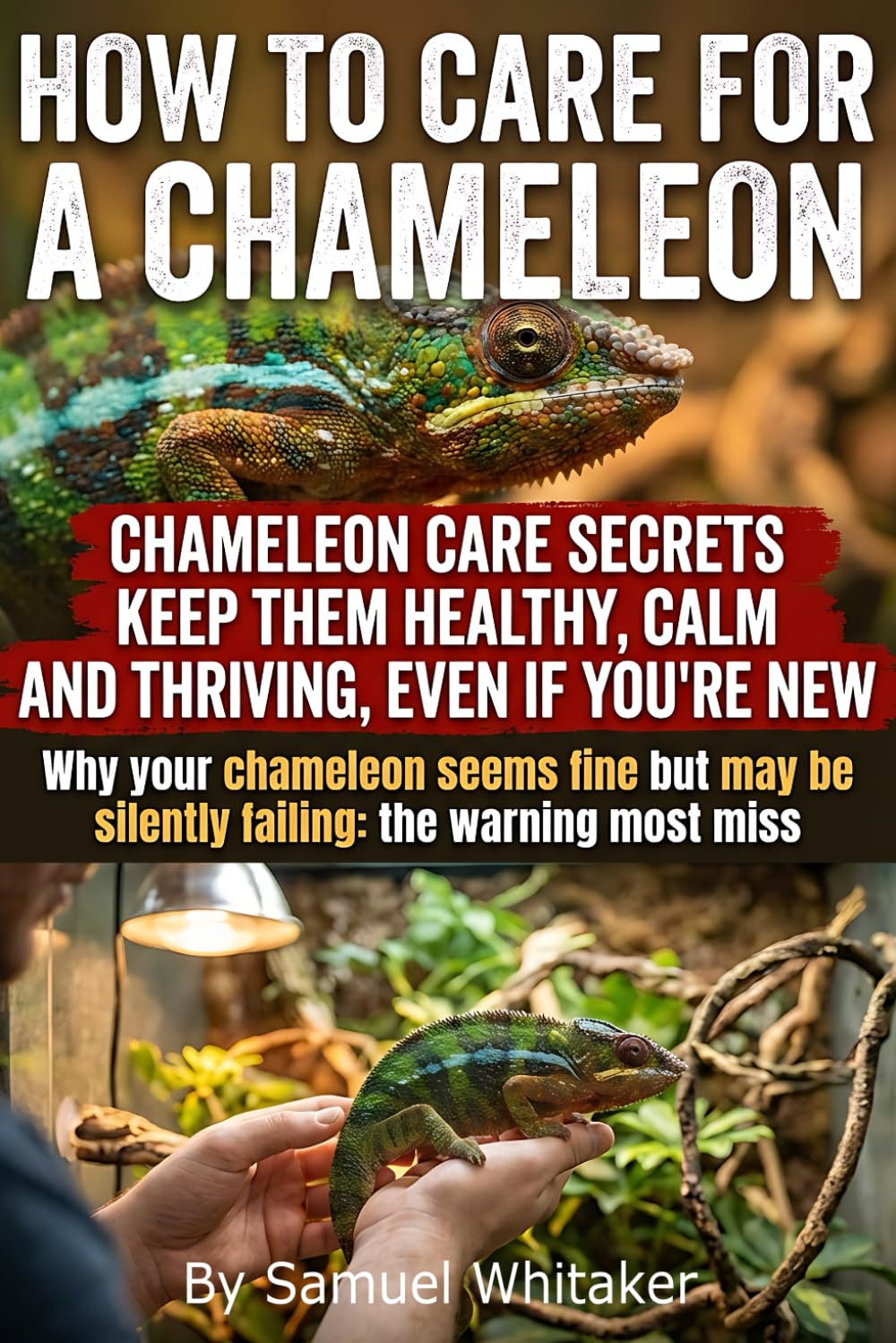 How to Care For a Chameleon: The Complete Beginner’s Guide to Chameleon Care Secrets: Habitat Setup, UVB Lighting, Feeding, Humidity, and Proven Daily ... for Raising a Healthy, Stress-Free Reptile