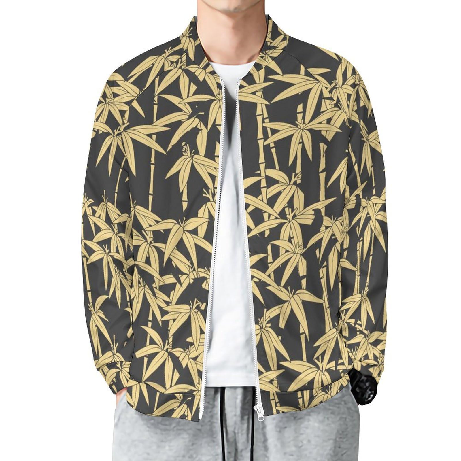 Jacket For Men Birds Print Long Sleeve Bomber Jackets Stand Collar Zip Up Varsity Jacket Outerwear Tops