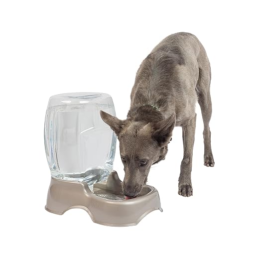 Petmate Automatic Water Dispenser for Pets