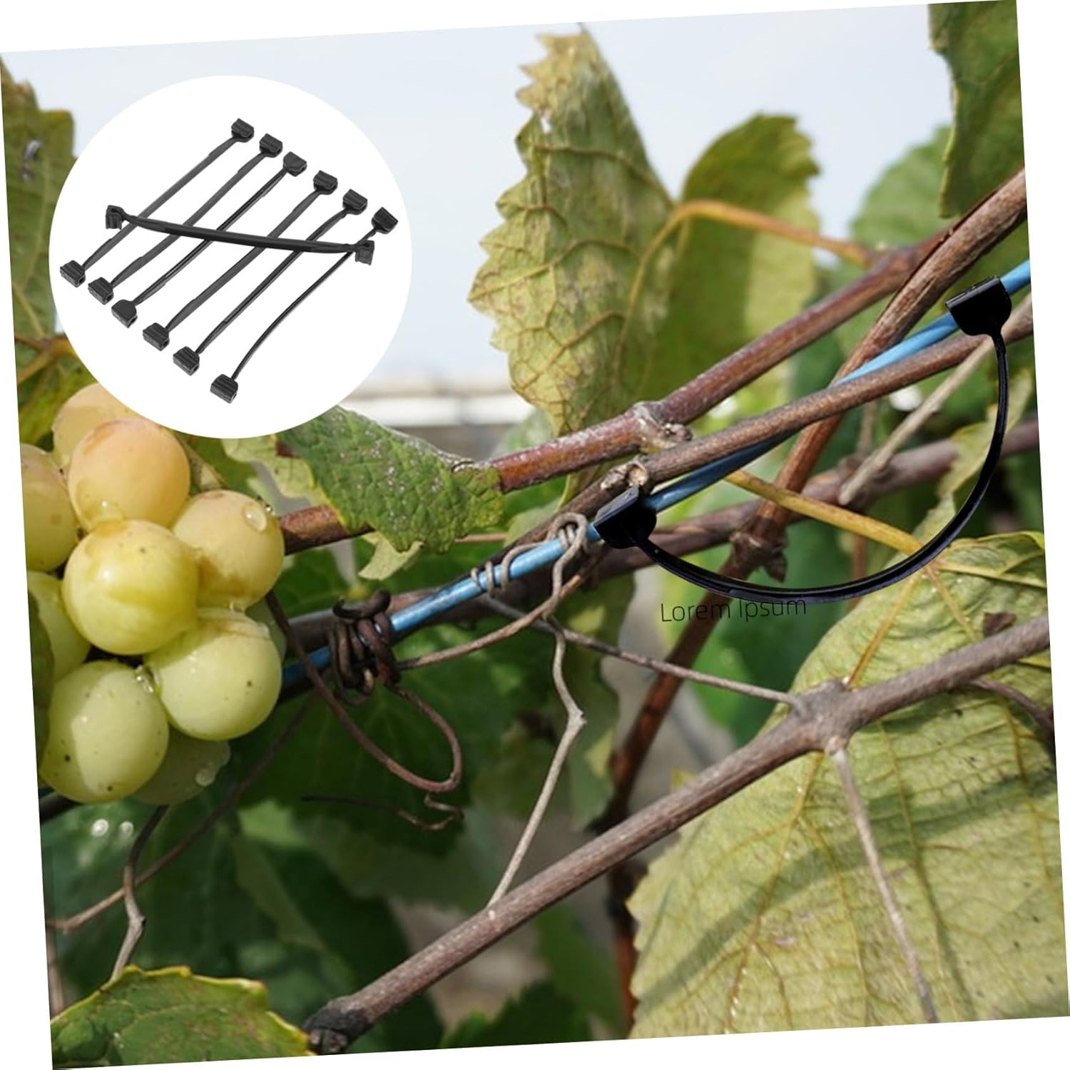 Sosoport 1bag Reusable Stem Support Clip Green Plant Fixing Clips Hanging Plant Bracket for Outdoor Use