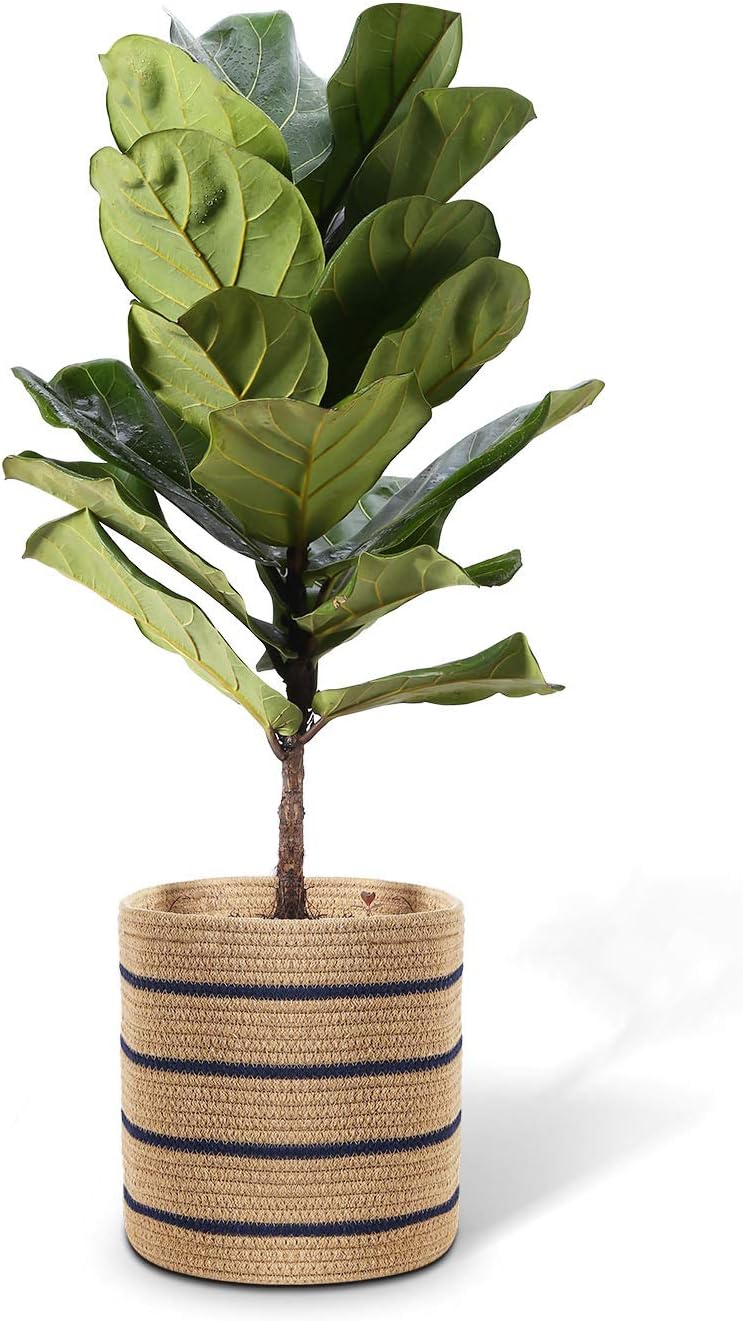 Cotton Rope Plant Basket for 10" Planter, Plant Pot, Storage Basket Organizer Containers for Modern Home