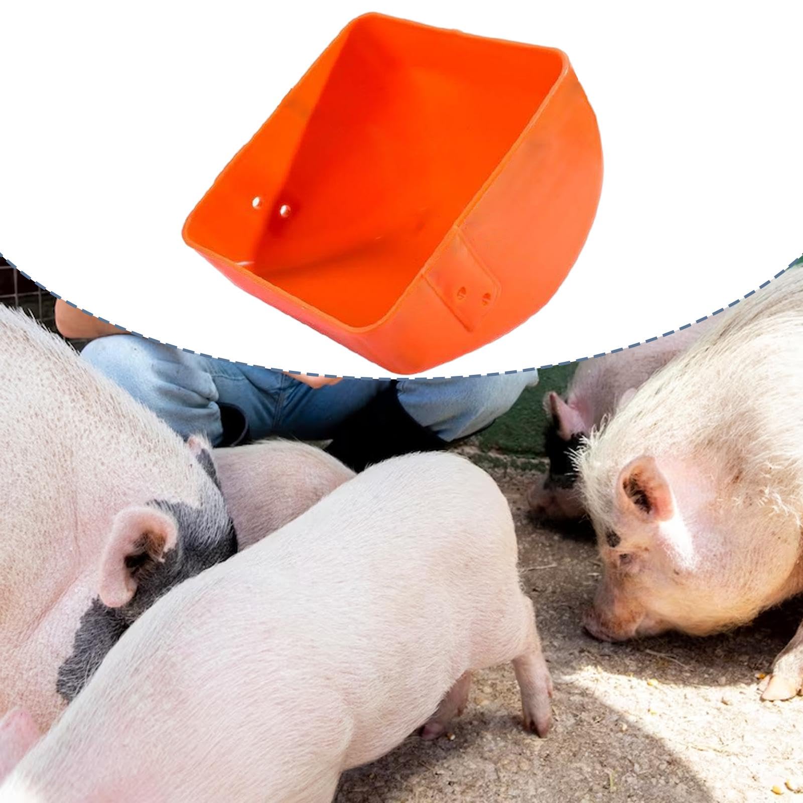 Generic Comedero para Cerdos, Bandeja de Comida, Cubo, de Gran Capacidad, para Aves de Corral, Ganado Vacuno, Perros Y Otros Animales, Naranja