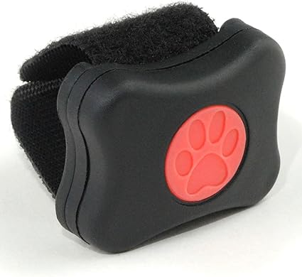 pitpat dog activity monitor