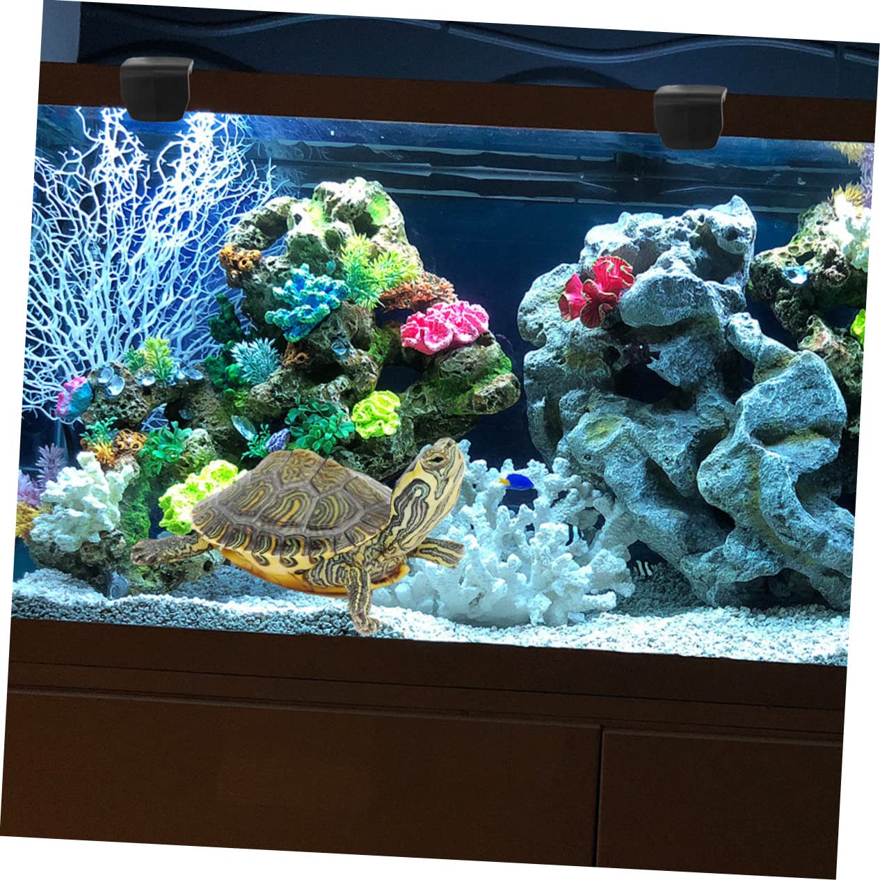 FRCOLOR 6 Sztuk - Blokada Ewakuacyjna Części Do Terrarium Dla Żółwi Zatrzask Zbiornika Dla Gadów Dla Zwierząt Domowych Terrarium Dla Żółwi Dostaw Zatrzask Zbiornika Dla Gadów Szklana