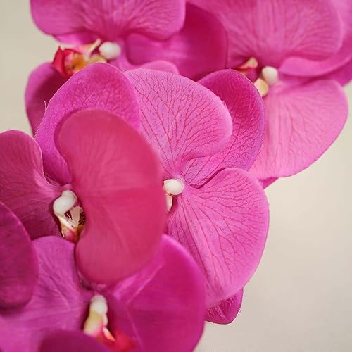 Miniatura 8 de Efavormart - 2 tallos de orquídea de seda fucsia de 40 pulgadas de alto, tallos de flores artificiales de tacto real para decoración de boda