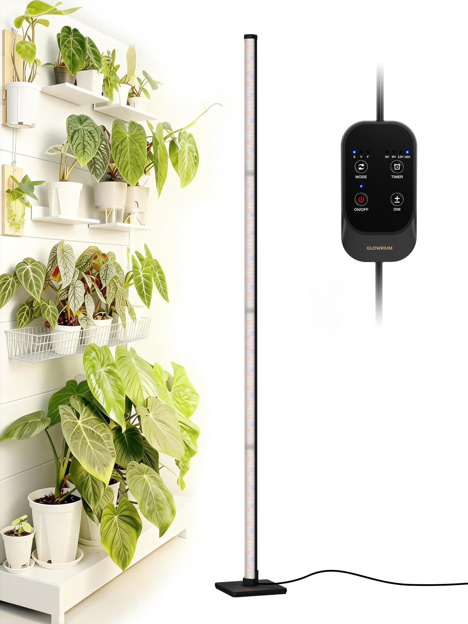 GLOWRIUM Grow Lights for Indoor Plants, 36W Vertical Plant Grow Lights with Auto-Timer, Full Spectrum LED Standing Plant Grow Lights, 3 Light Modes, 6-Level Dimmable (60in)