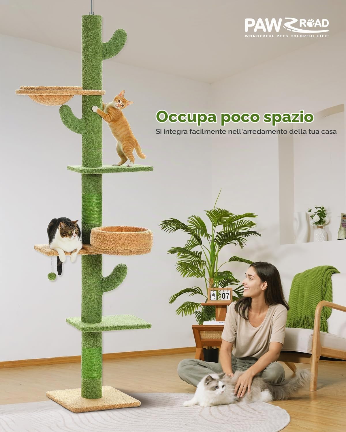 PAWZ Road Albero per gatti a forma di cactus dal pavimento al soffitto, 5 spaziose piattaforme, torre per gatti con tiragraffi spessi 10,5 cm, amaca sostituibile e palline pendenti per gatti interni