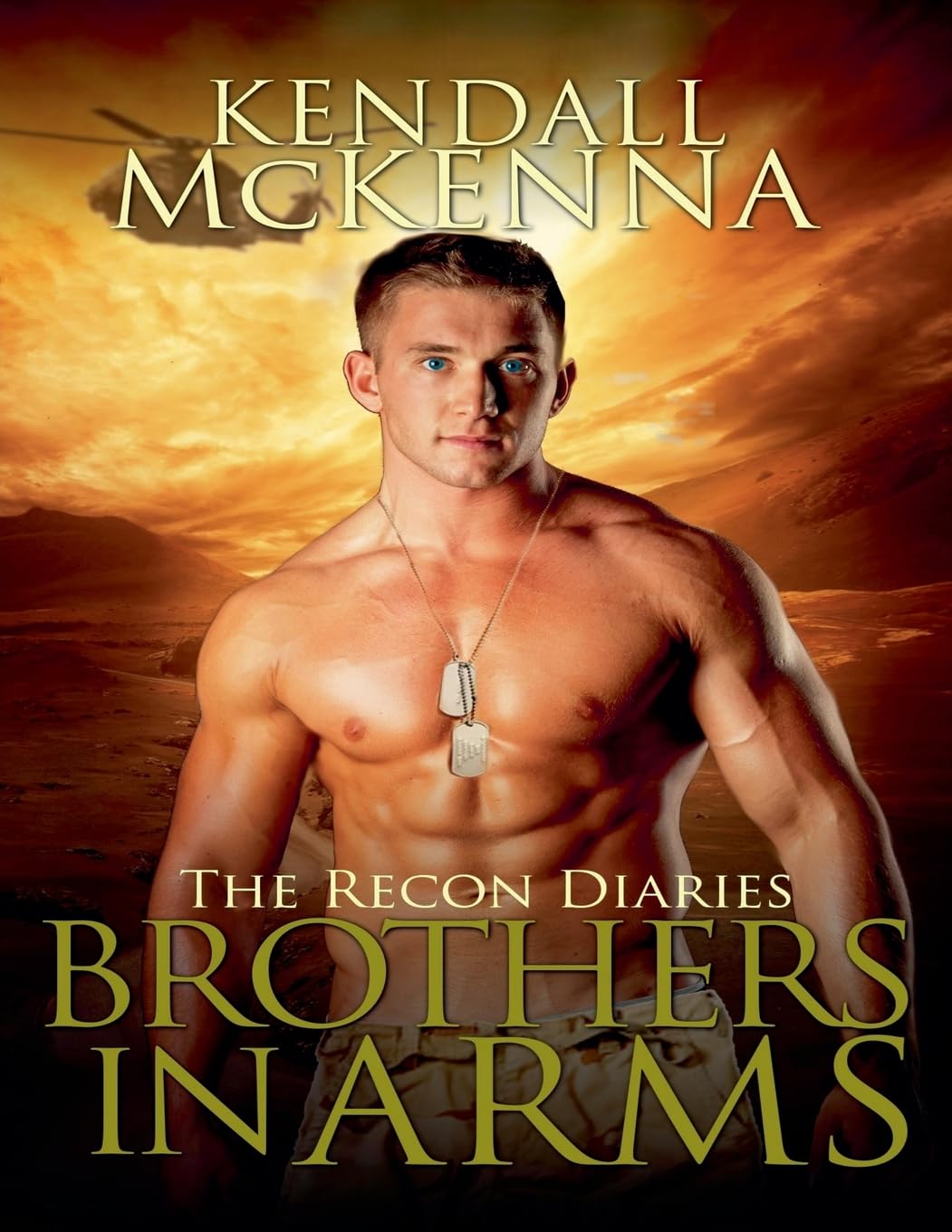 Brothers In Arms: 1 (The Recon Diaries)