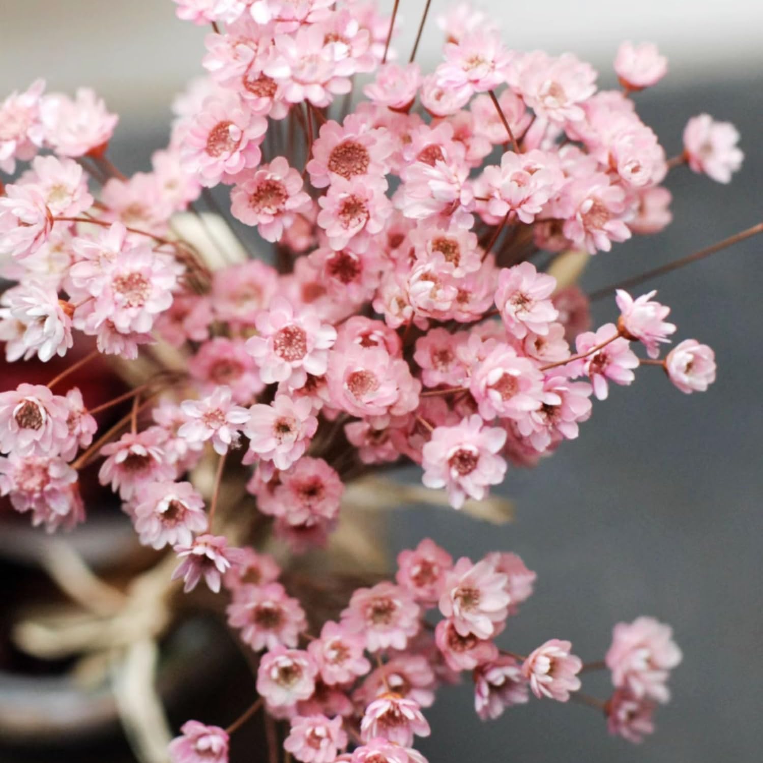 300 fiori secchi brasiliani piccoli fiori secchi decorativi rosa mini margherita essiccati bouquet di camomilla per vacanze decorazione festa fai da te casa matrimonio composizioni floreali secche