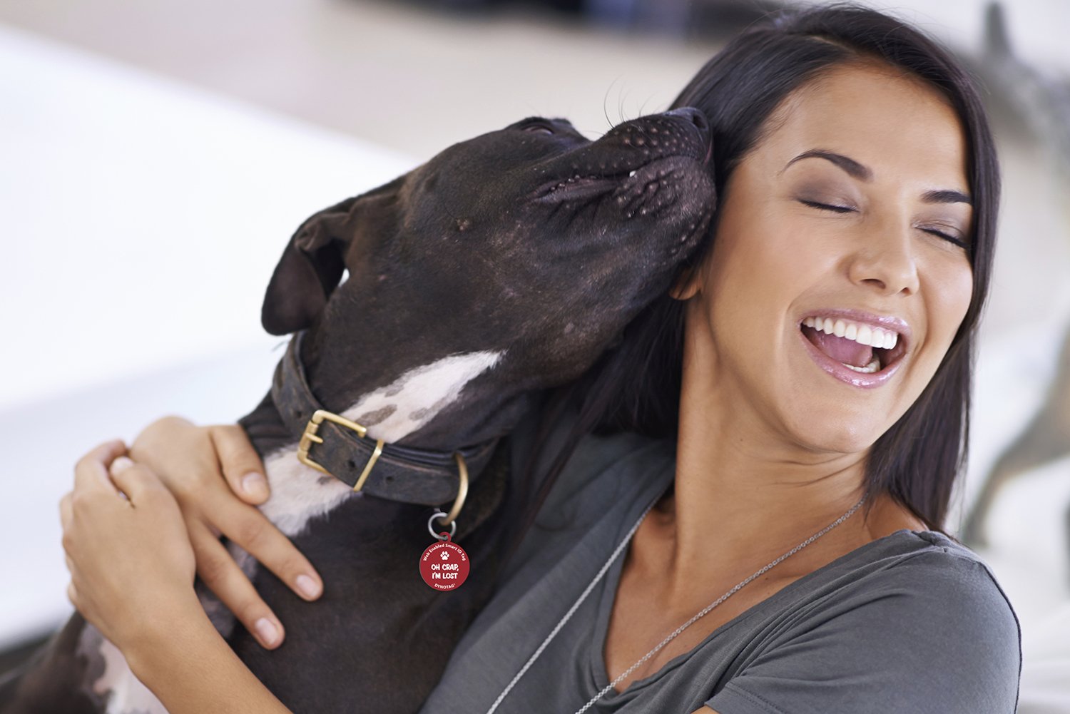 Dynotag® Médaille pour chien En métal Avec code QR Connexion Web/GPS