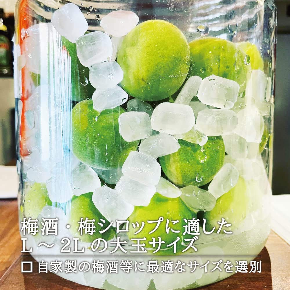 青梅 白加賀 1 Amazon.co.jp: 梅花の里 青梅 白加賀 ｜ 生梅 梅 宮城 角田 梅酒 梅