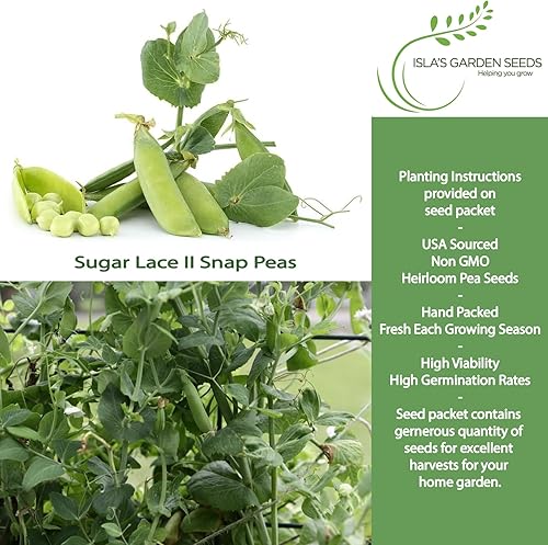 Miniatura 2 de Sugar Lace II - Semillas de guisante a presión para plantar, más de 50 semillas de reliquia por paquete, semillas de jardín (Isla's Garden Seeds),