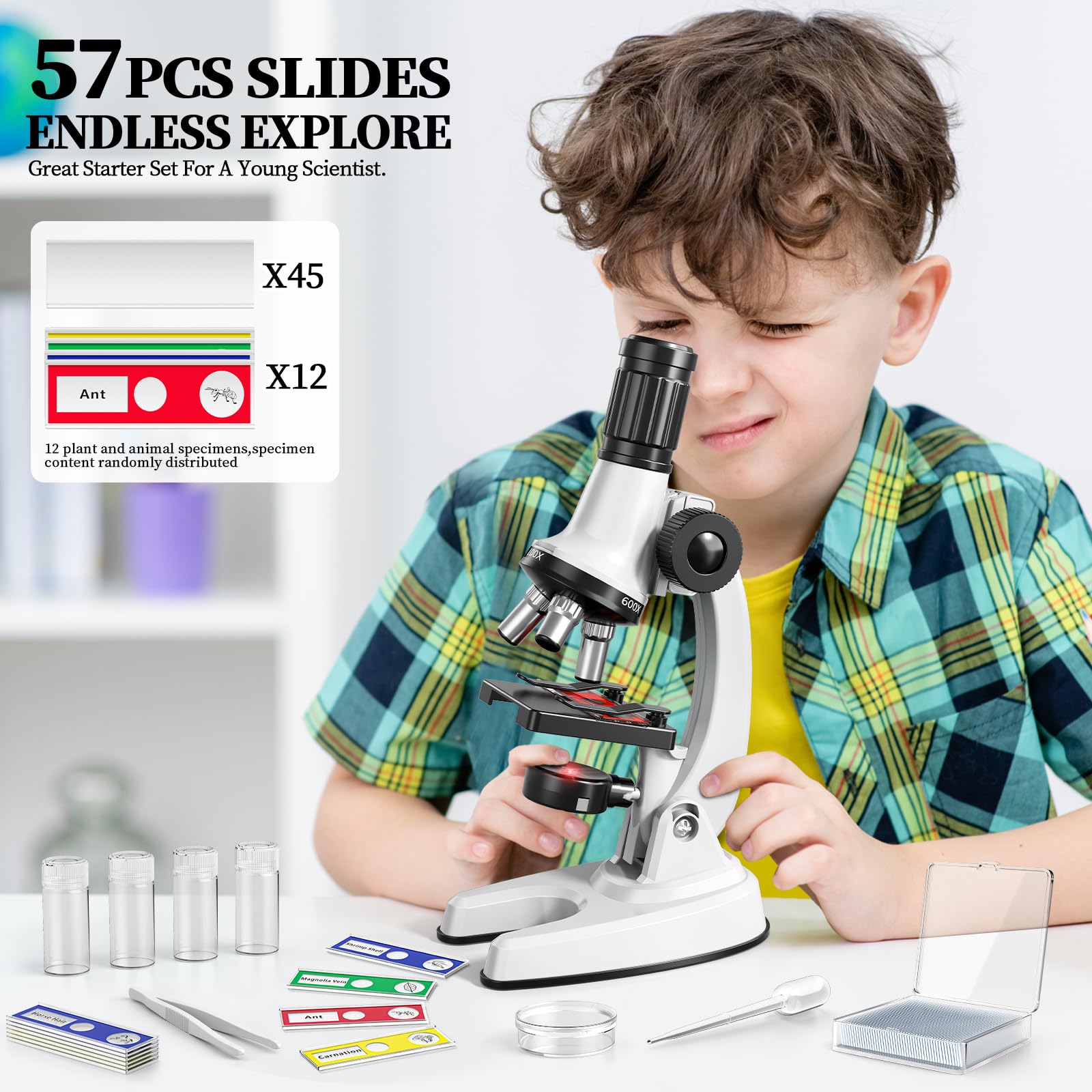 Giocattoli per microscopio