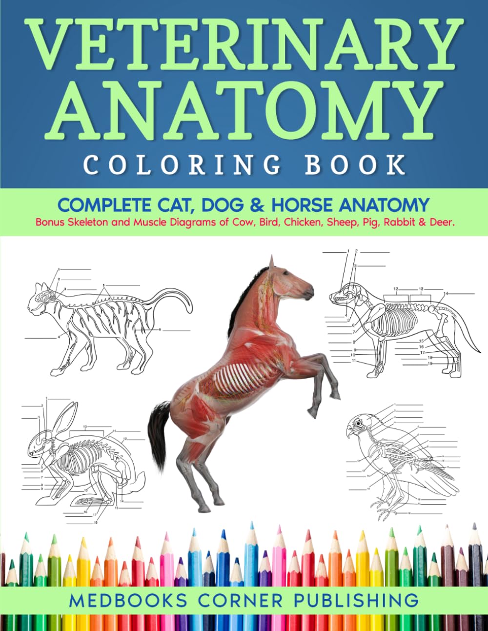 Veterinary Anatomy Coloring Book: Complete Cat, Dog & Horse Anatomy and Physiology with Detailed Skeleton & Muscle Illustrations of Cow, Bird, Deer & More + Test Yourself Exercises