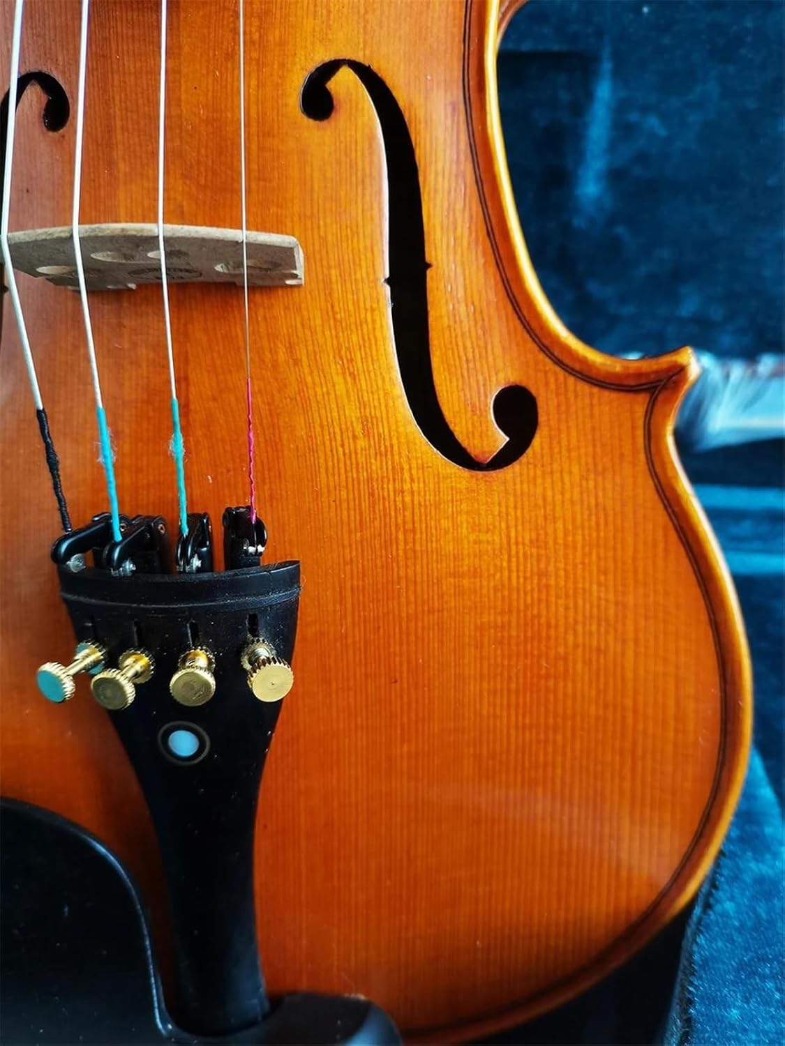 Eastman SVL80セット 4/4 バイオリン 初心者セット 【マイスター茂木