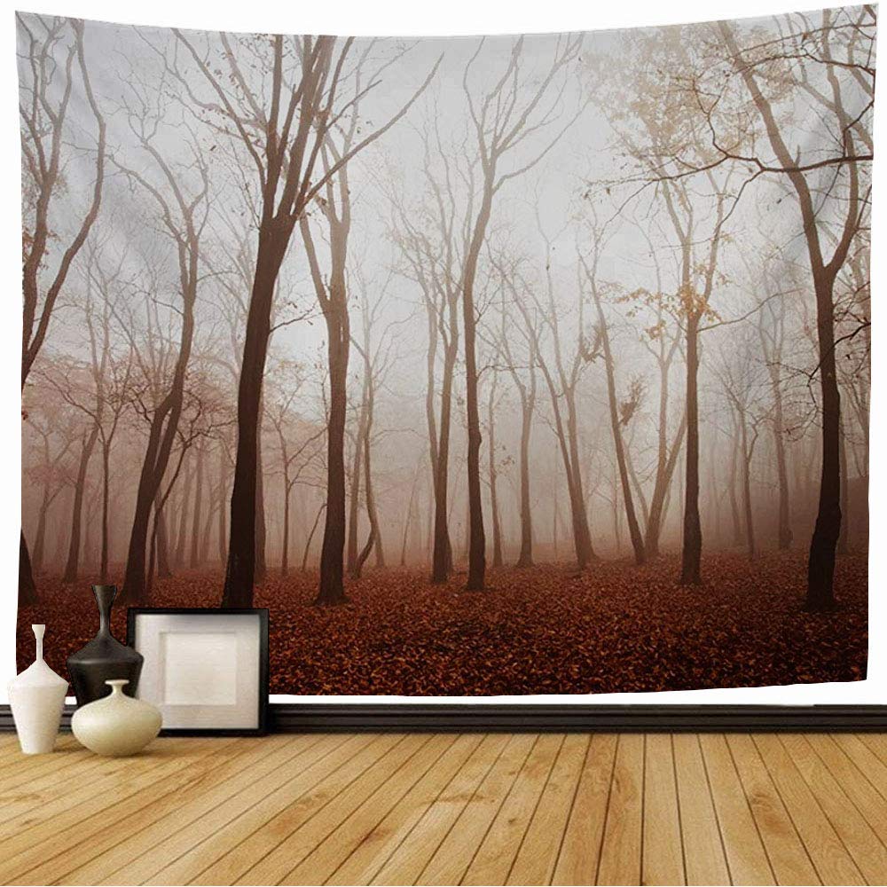 Tapestry Park Thicket Smok Taiga in Outdoor Mist Season Trees Haze Thick Fog Forest Fall Nature Beautiful Wall Tapestry Beach Tapestry for Bedroom Decor 60x60 Inch