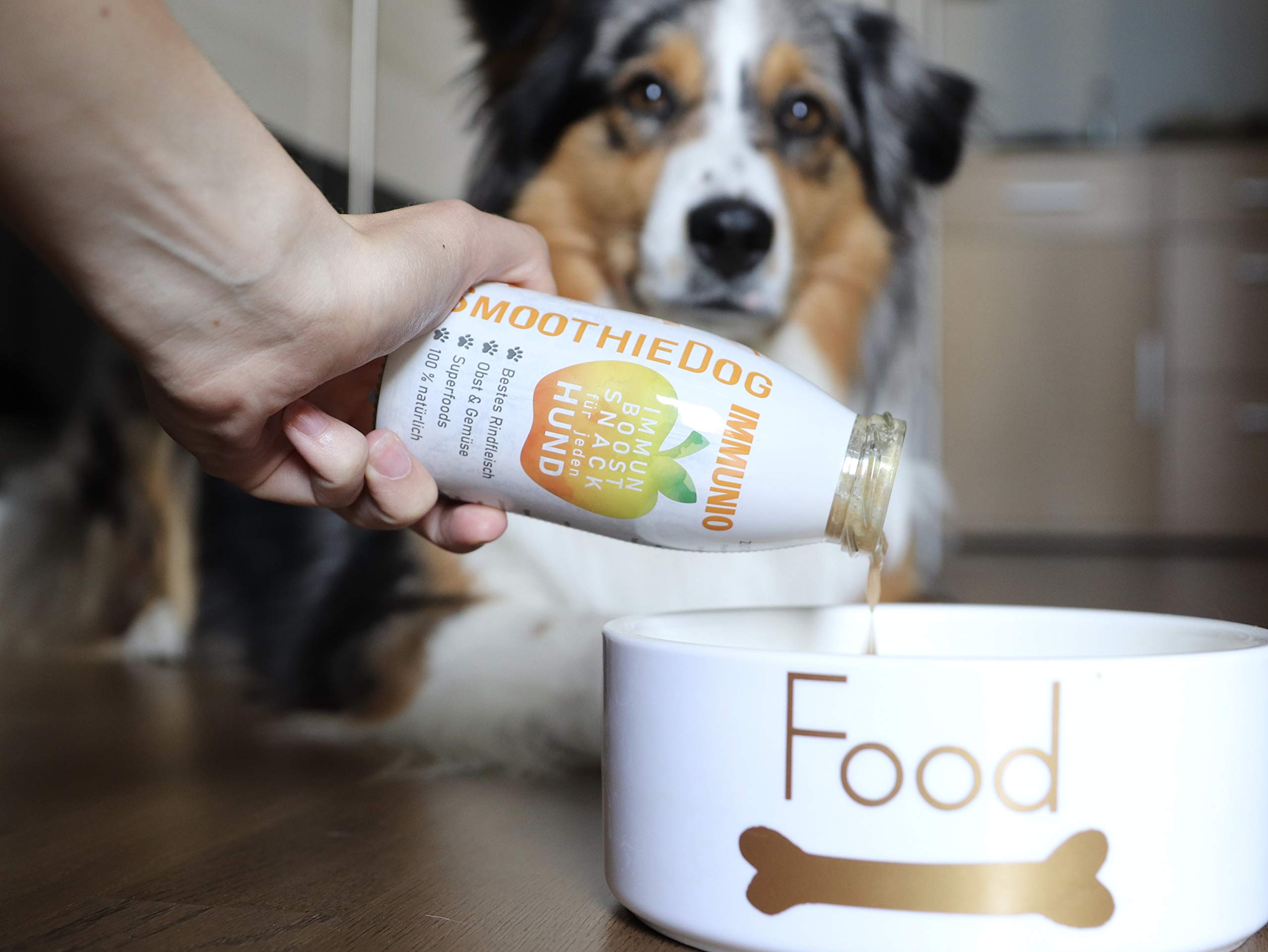 Hunde Smoothie SmoothieDog 6er Mix + Doggyroller m. Halter, Karabiner Blau - je 1x: Huhn, Rind, Lamm, Ente, Immunio, Veggie - Flüssiges Hundeleckerli - Zucker- & glutenfrei - Zubehör Hund - je 250ml