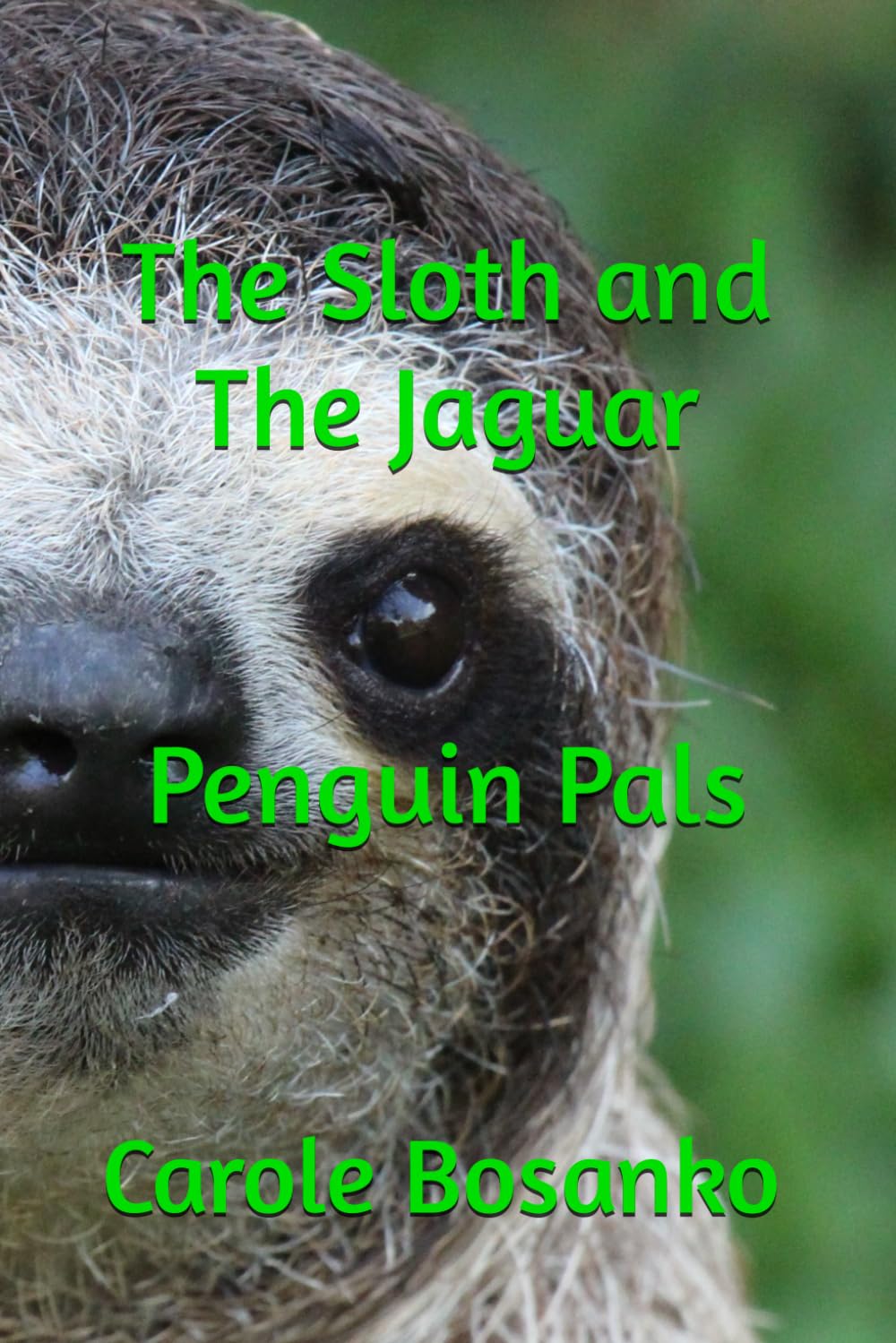 The Sloth and The Jaguar + Penguin Pals