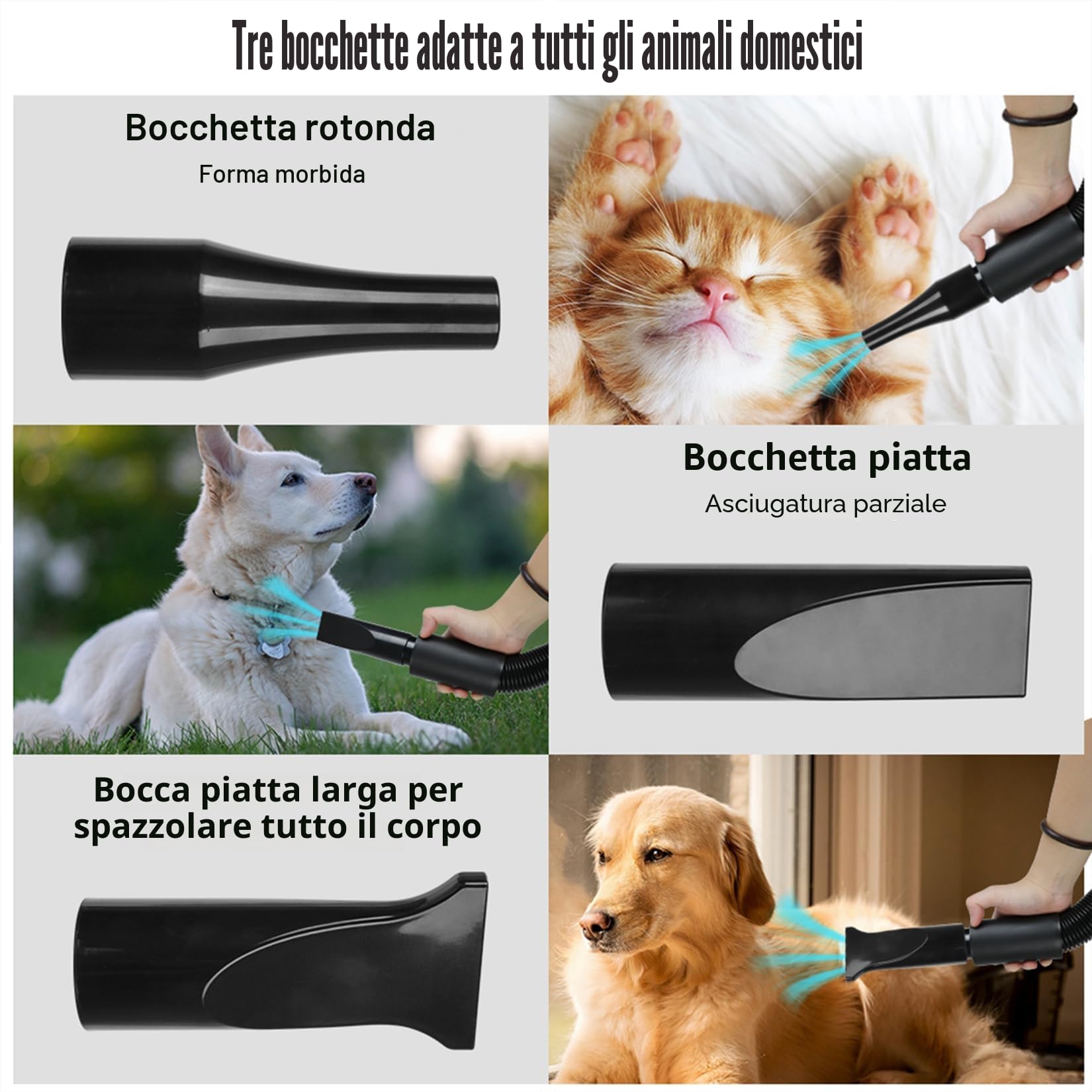 Soffiatore per Cani Asciugacapelli per Cani 2800W Phon Cani Velocità e Temperatura Regolabili Meno Rumore Asciuga Cane Toelettatura Animali con 4 Ugelli per Uso Privato e Professionale (Nero)