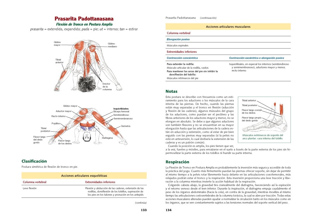 ANATOMIA DEL YOGA NUEVA EDICION AMPLIADA