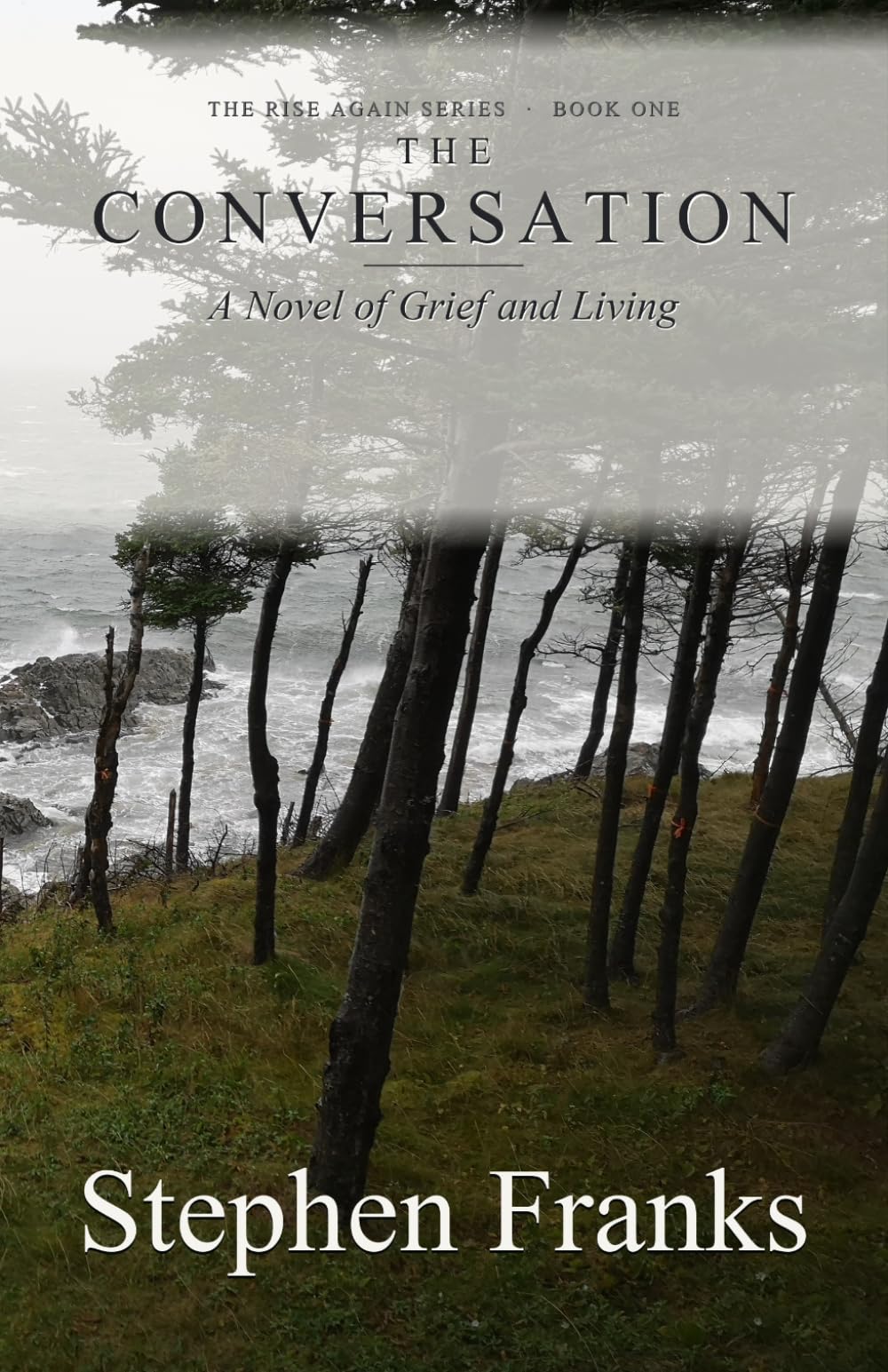 The Conversation: A Novel of Grief and Living (Rise Again)