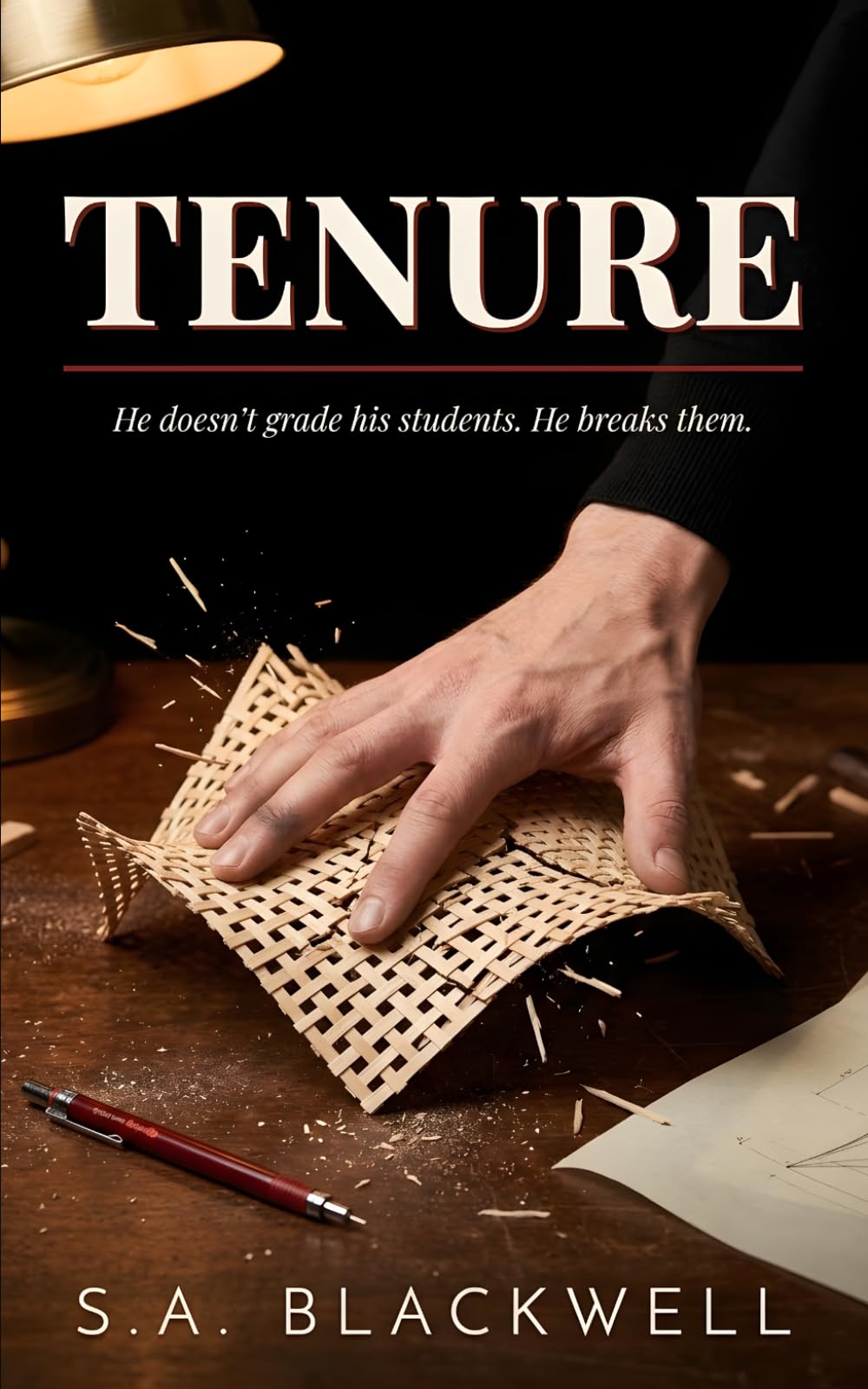 TENURE: A Dark Romance Novel