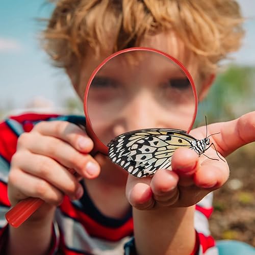 Miniatura 9 de Kit de herramientas de aventura para niños al aire libre, kit de captura de insectos de acrílico, caja de observación, visor de insectos, lupa,