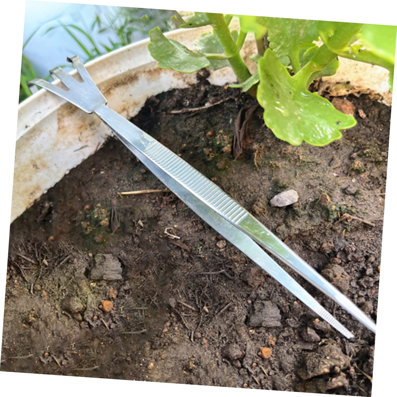 UPKOCH 3 Set Strumento Per Bonsai Concavo Spatola Strumento Pinzette Per Bonsai Pinzetta Albero Bonsai Pinzette Per Terrario Rastrello Per Bonsai Acciaio Inossidabile Argento 2 Pezzi*3