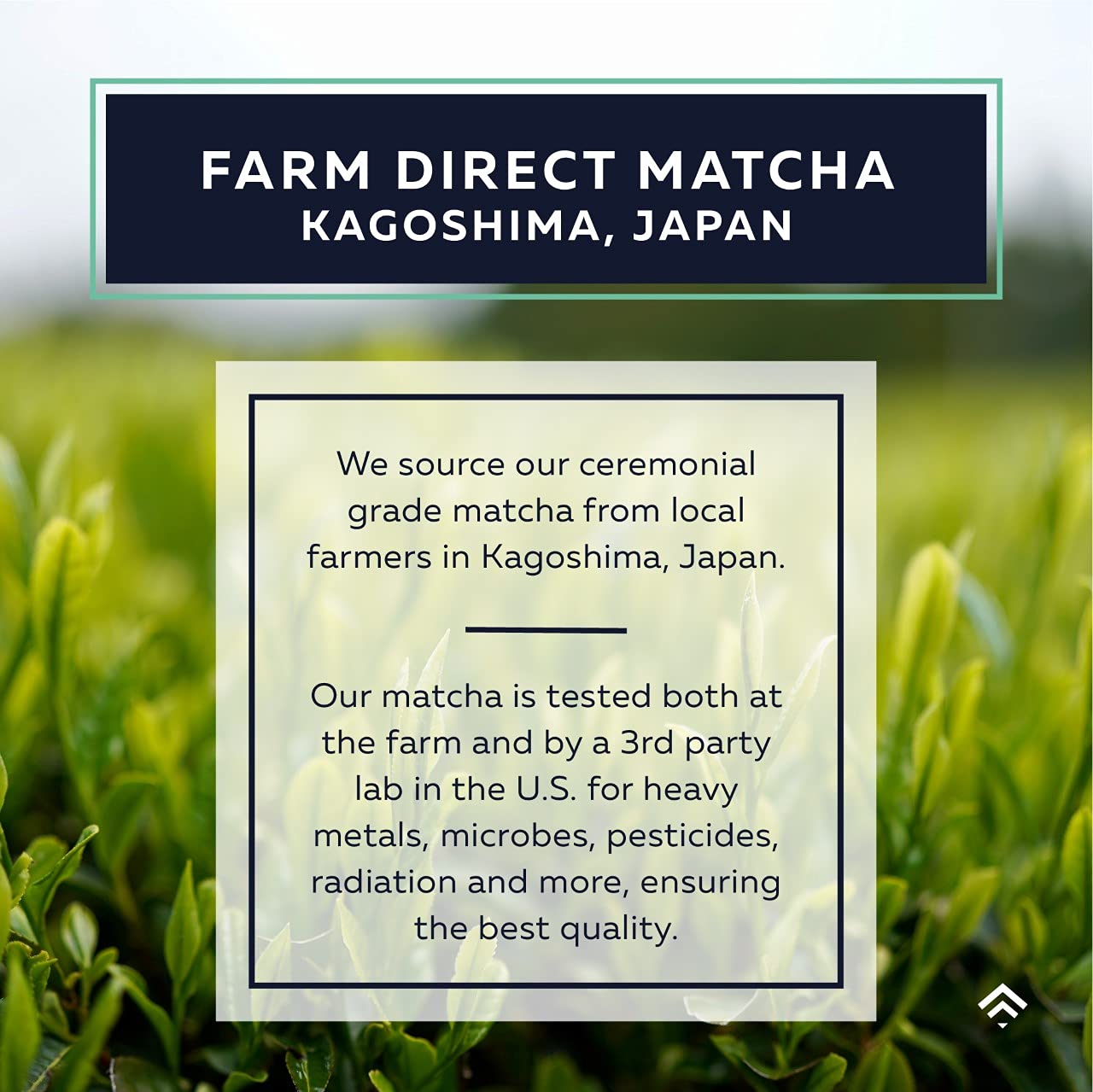 ACTA Matcha Energy Tea 40g High Caffeine 170mg Blend for Increased Focus Clarity Perfect Coffee Alternative Made with — view 7