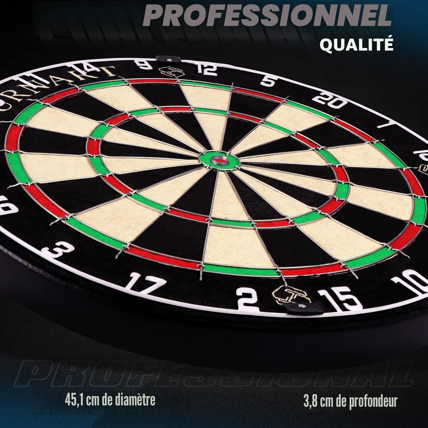 Cibles Standard en Acier avec 6 Fléchettes à Pointe en Acier de 20 g, 12 Ailettes, Jeux de Précision avec Cible Uniquement