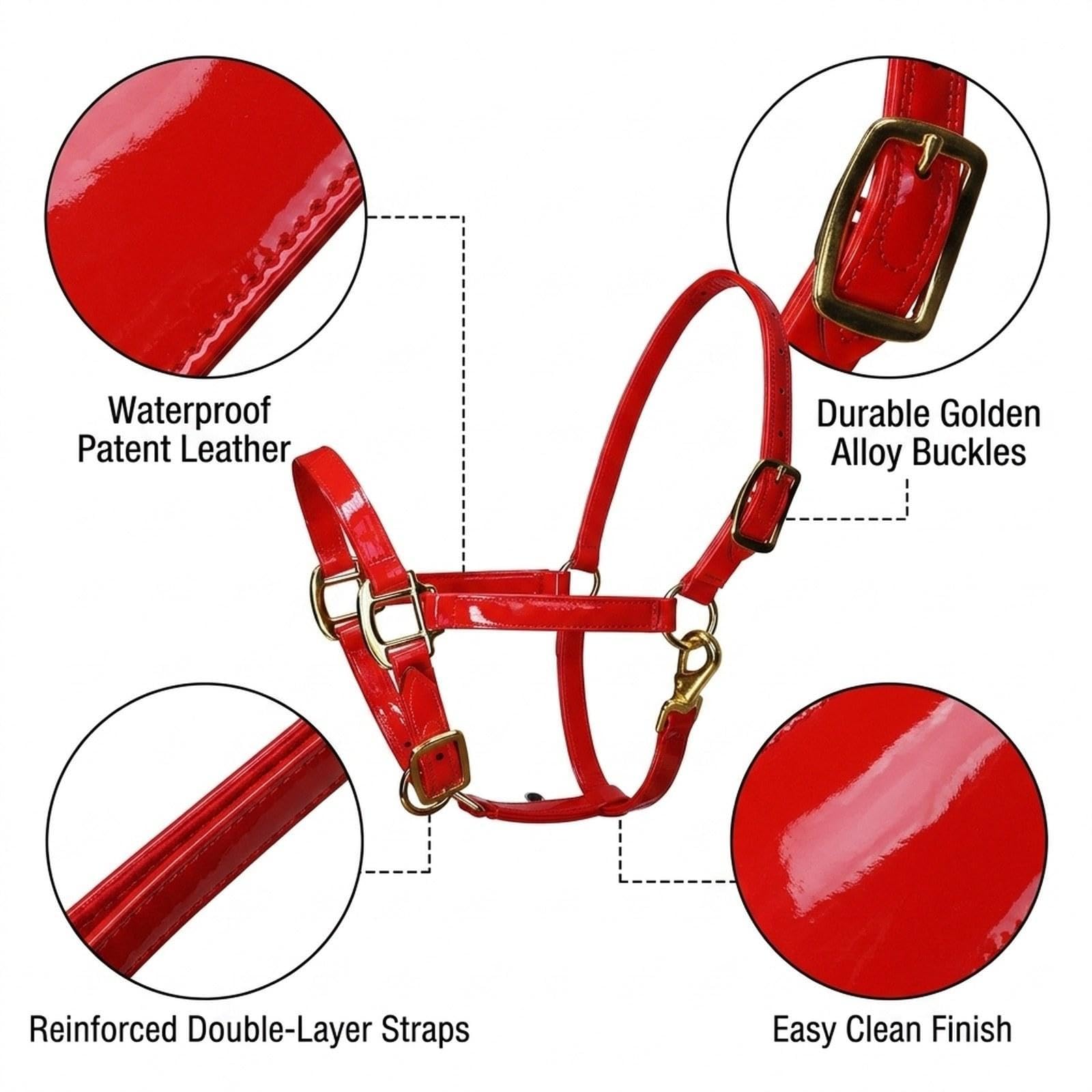 Cavezza per Cavallo in Pelle Microfibra con Gancio per Mento, Ideale per l'addestramento.