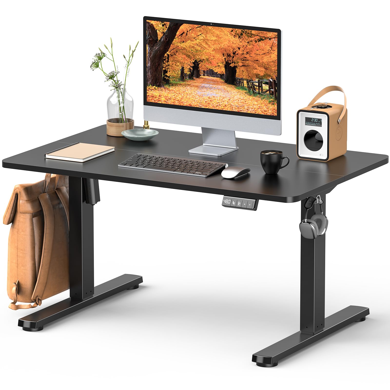 Amazon | Zontera 電動 昇降式ローデスク 高さ調整48-75cm ロータイプ