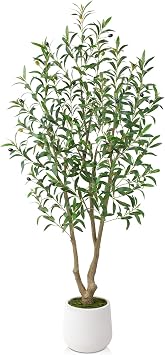 VeriNatural Artificial Olive Tree 5FT, Fake Plants Indoor - Potted Faux Olive Tree with Relistic Leaves and White Planter - Tall Faux Plant for Home Office Living Room Decor