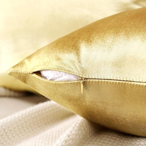 Miniatura 5 de OTOSTAR Juego de 4 fundas de almohada decorativas de terciopelo suave, fundas de cojín de lujo para sofá, automóvil, patio, dormitorio, sala de