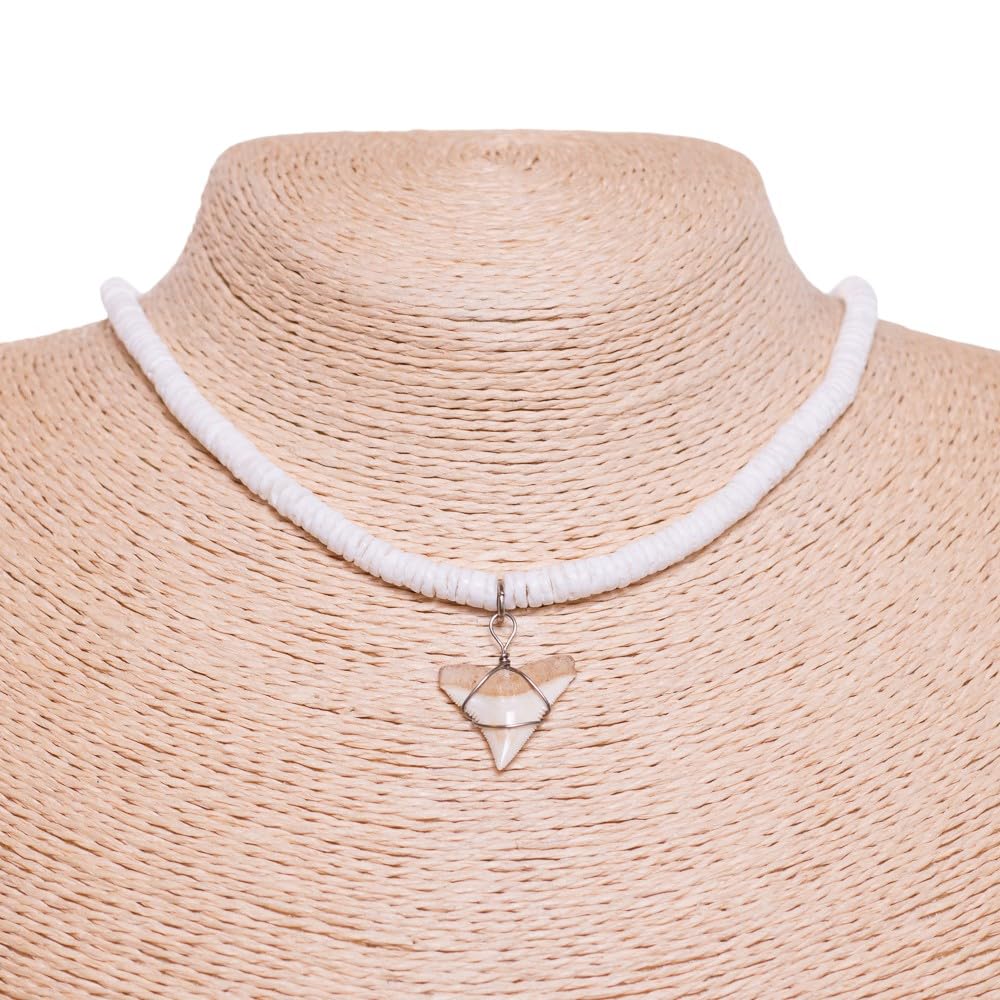 Shark Tooth ciondolo su collana nero Puka conchiglie con perline in metallo (2S Shark Tooth)