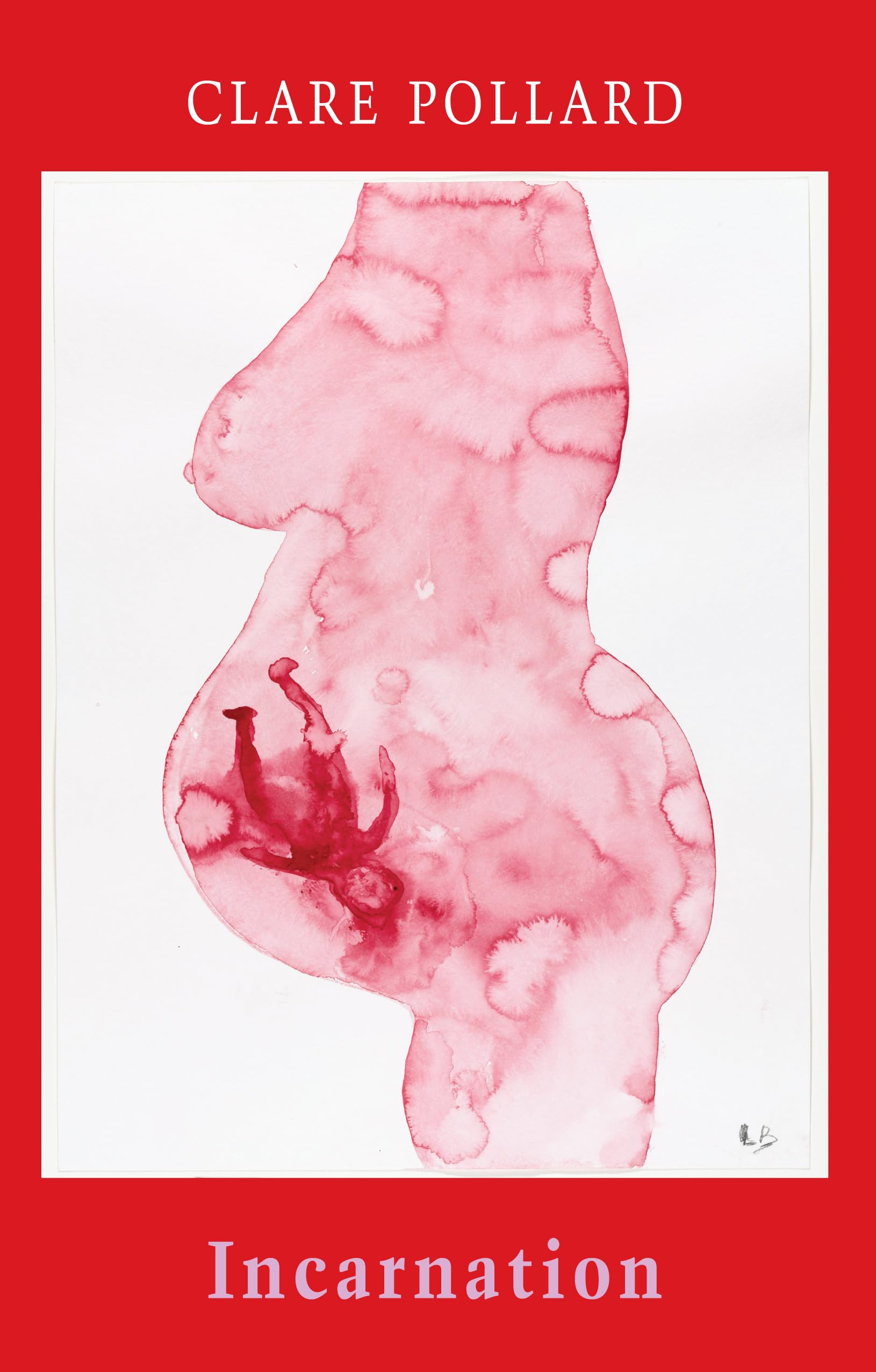 Incarnation by Clare Pollard (Paperback Book)