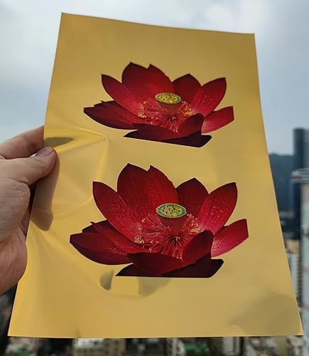 Miniatura 3 de GLOSSY GOLD-20 hojas imprimibles de vinilo dorado brillante, impermeable, hojas adhesivas de alta calidad, tinta se seca rápidamente para impresora