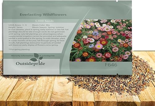 Outsidepride Semillas de flores silvestres Everlasting – 5000 piezas anuales de bajo mantenimiento, fáciles de cultivar, para arreglos florales
