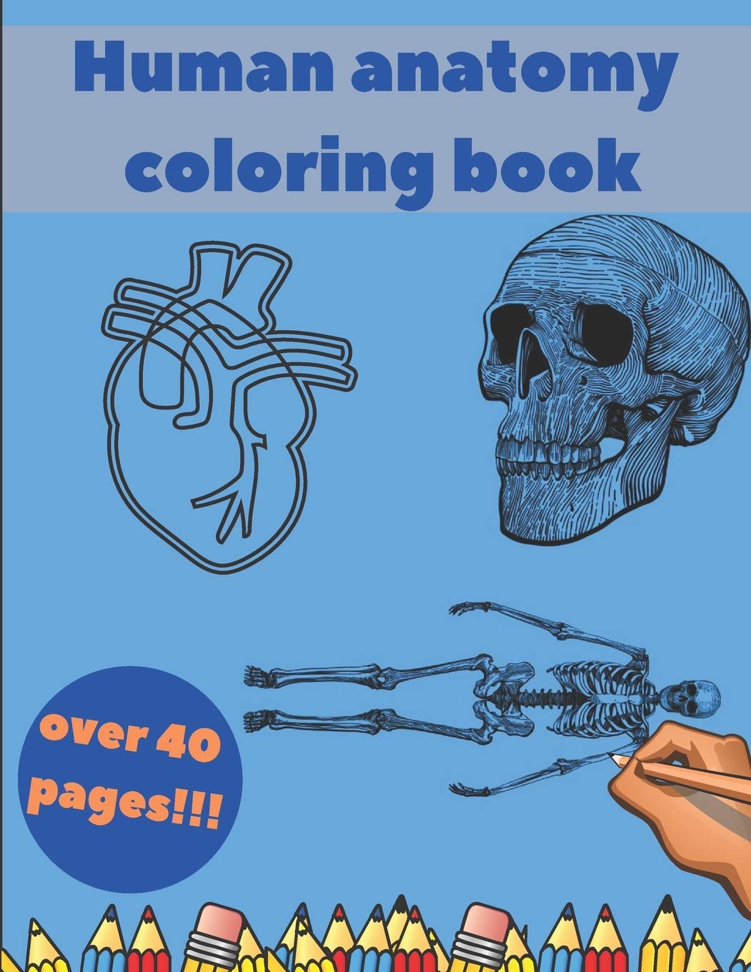 Buy Human Anatomy Coloring Book - 71hK13e3p0L