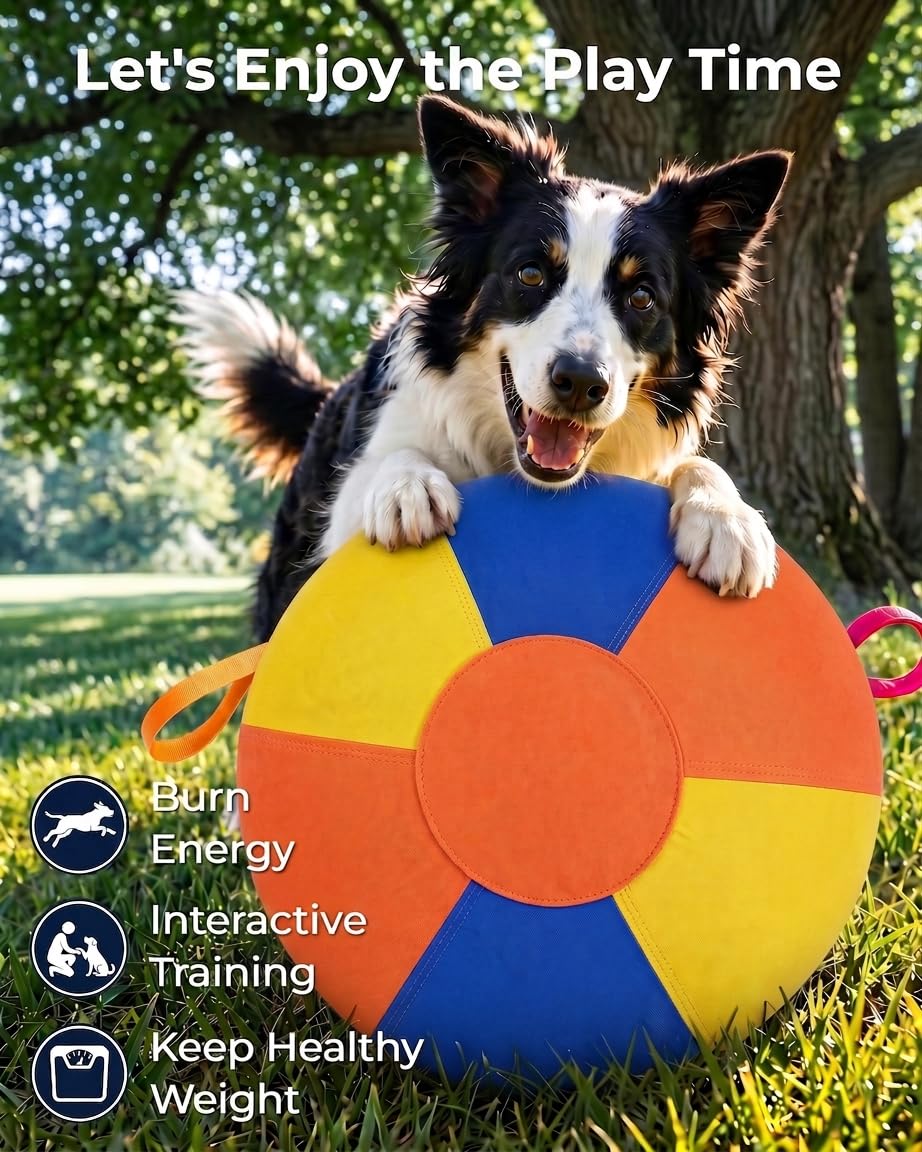 Herding Ball für große Hunde - YBO