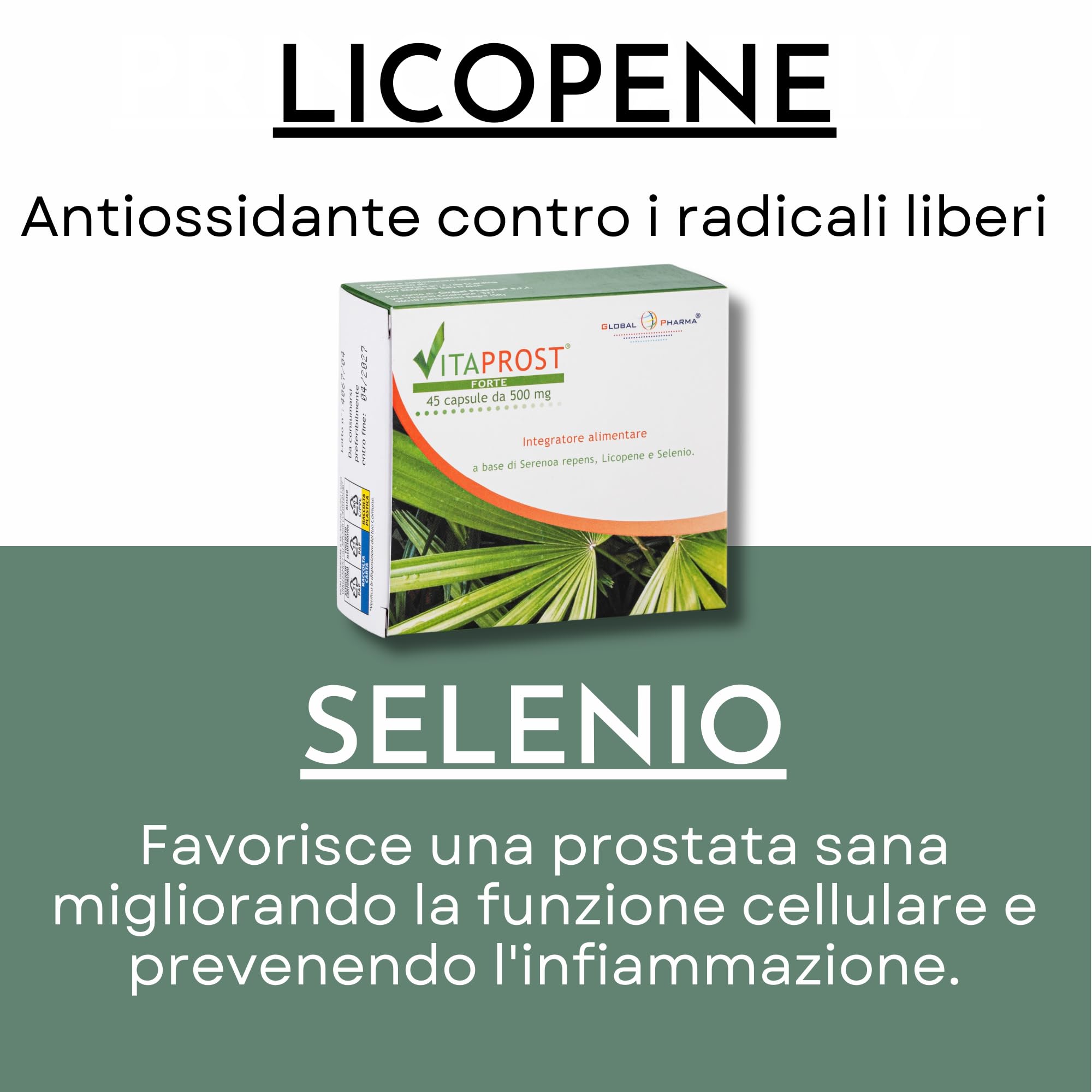 Integratore prostata 800mg SERENOA REPENS | Saw Palmetto Licopene e Selenio Integratore per la Prostata e Vie Urinarie Uomo 45 Capsule VITAPROST FORTE Global Pharma