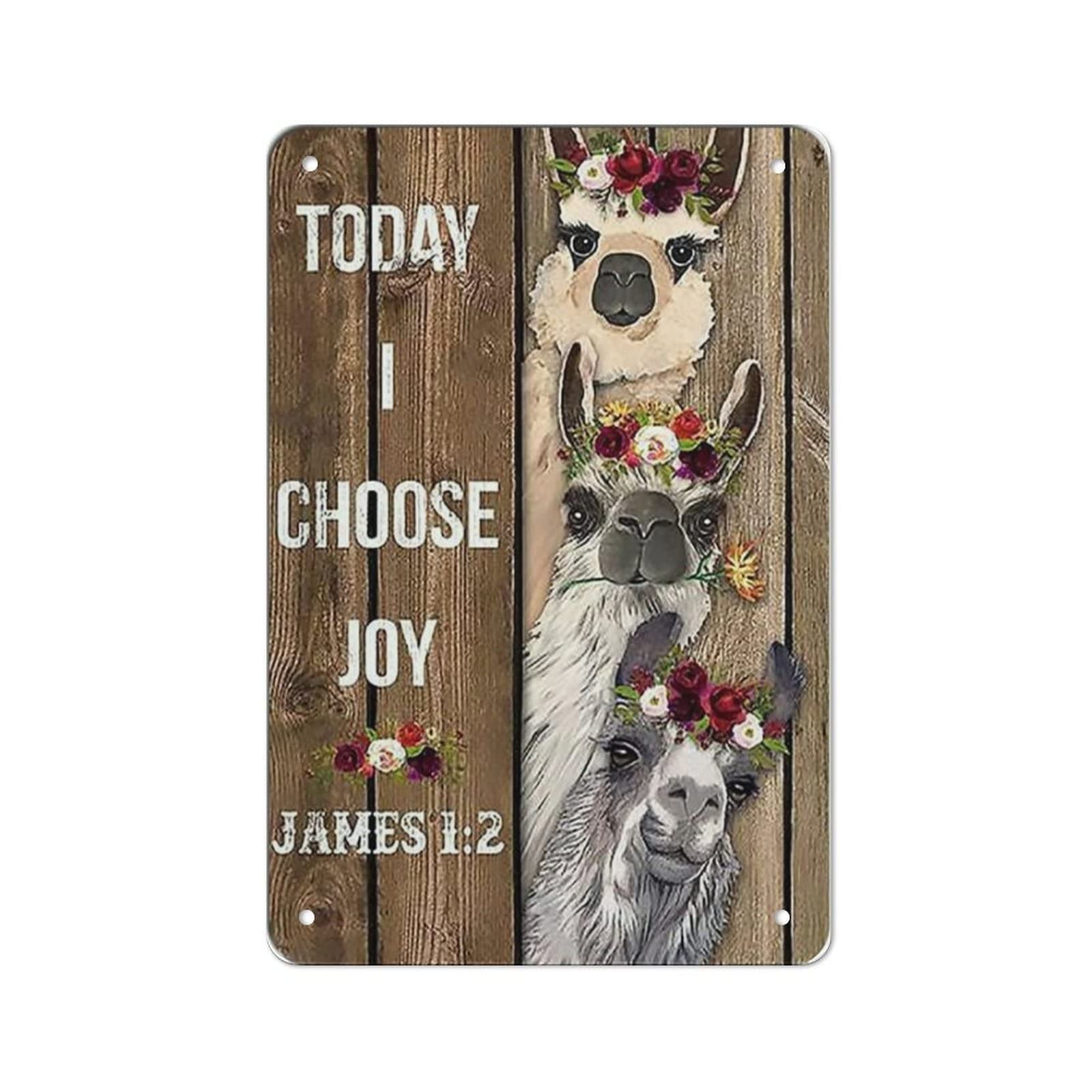 AOOEDM Today I Choose Joy Christian Jesus Lover Vintage Metal Sign Wall Decor Metal Plaque for Cafe Bar Pub Home Beer Retro Poster 12x8 Inch
