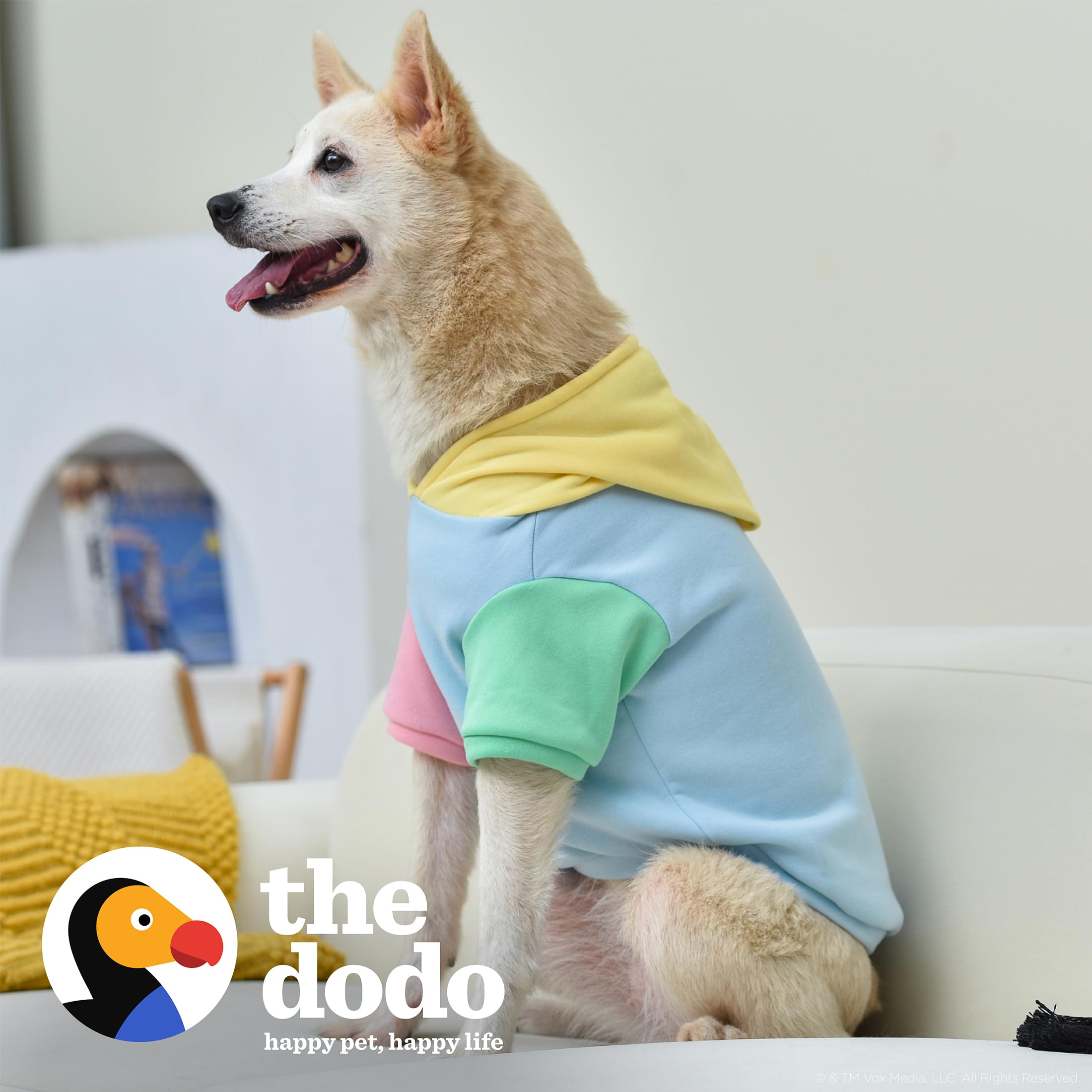 The Dodo Pastel Colorblock Hoodie for Dogs, Size Large; Everyday Apparel for Dogs, Cute Dog Sweatshirt, Cute Clothes for Dogs, The Dodo for Dogs Collection, FF27479-L