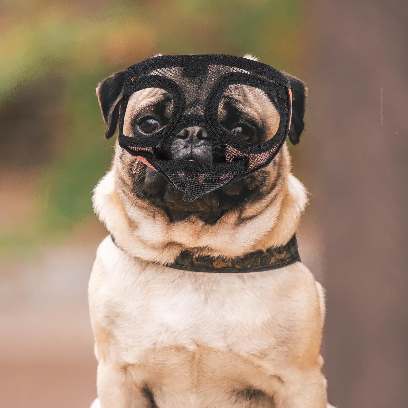 Sosoport 5pièces Muselière Respirante pour Chiens Ajustable Et Confortable Idéale pour Empêcher Les Aboiements Morsures Accessoire pour Et Autres Races à Museau Court