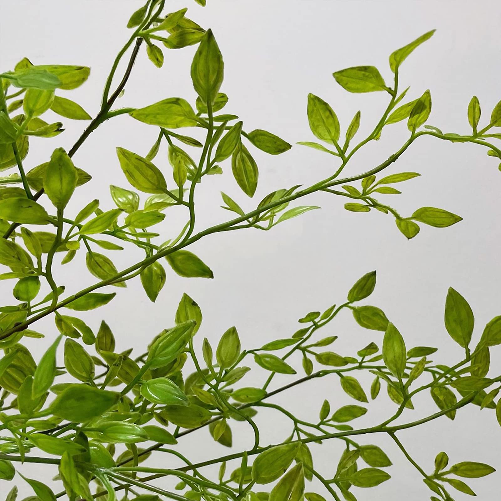 Eucalyptus Kunsthaag 50x50 mat | Bestel Online