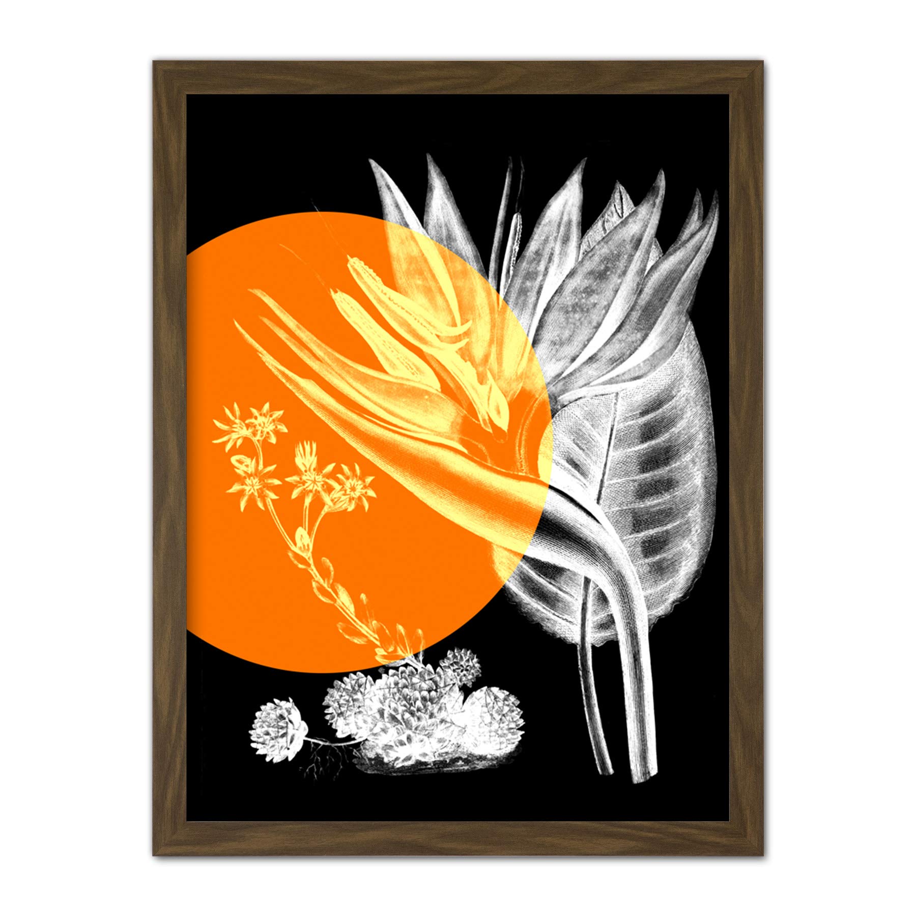 Wee Blue Coo Colour Pop Circle Plant Artwork Framed Wall Art Print 18X24 Inch