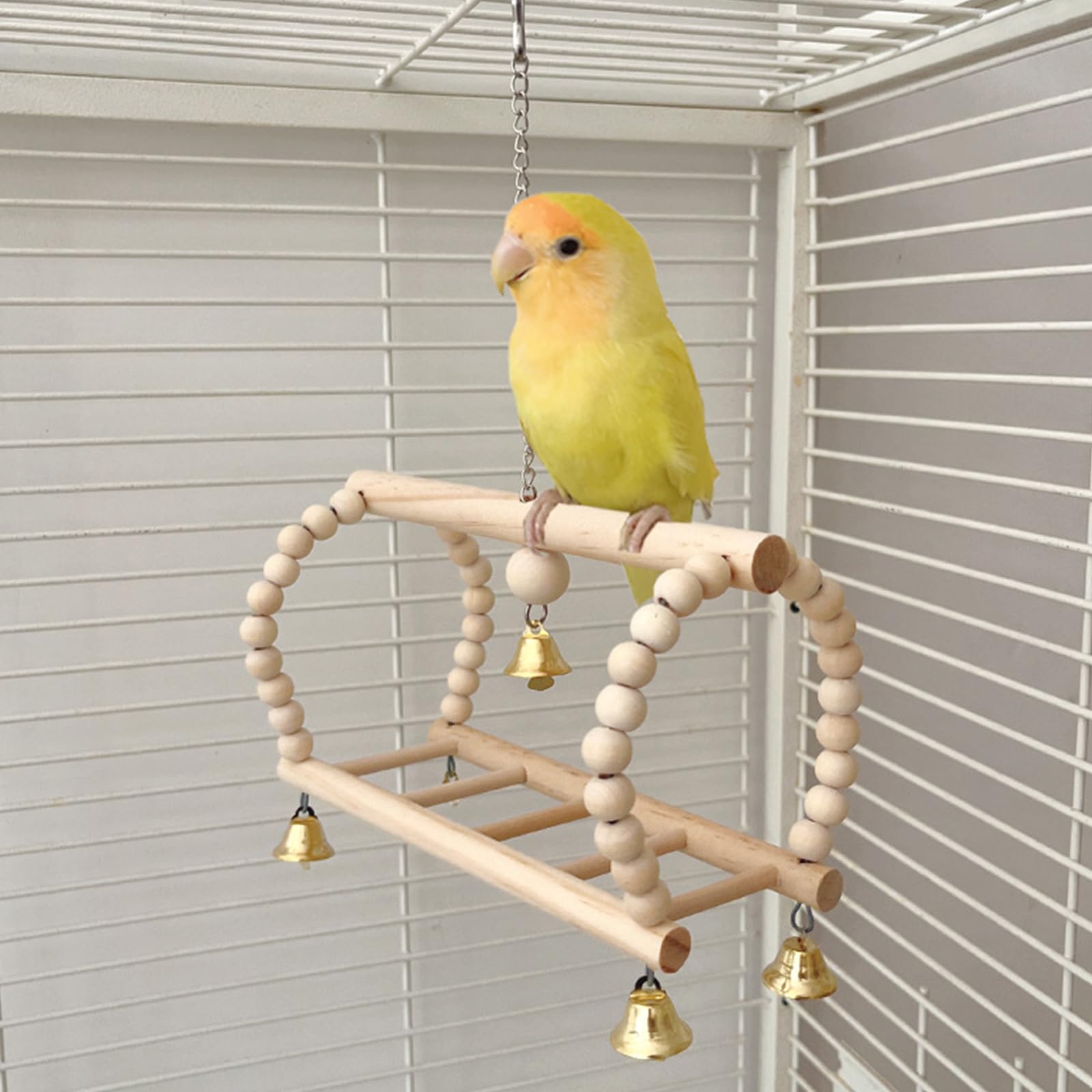 Amazon | 5 パックセキセイインコ遊び場インコスイング鳥運動器具